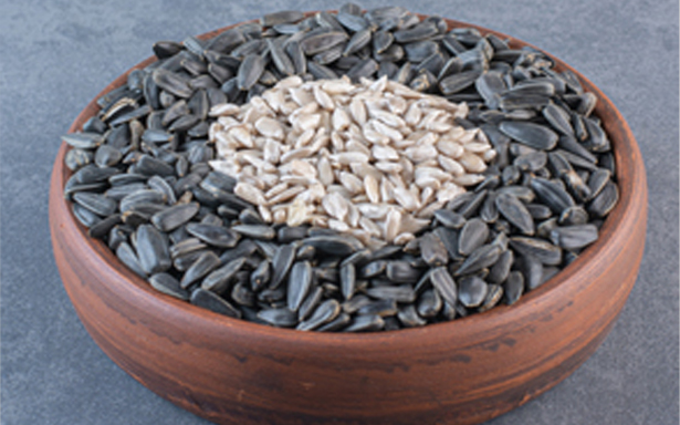 Oilseeds